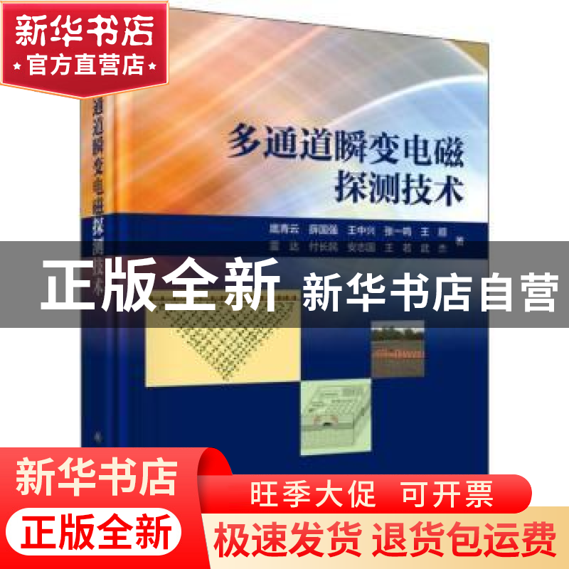 正版 多通道瞬变电磁探测技术 底青云 科学出版社 9787030629005