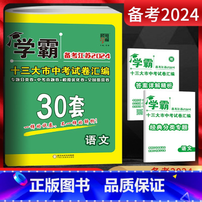语文 初中通用 [正版]备考2025版学霸中考试卷汇编30套语文数学英语物理化学政治历史套装任选 2024年江苏13大市