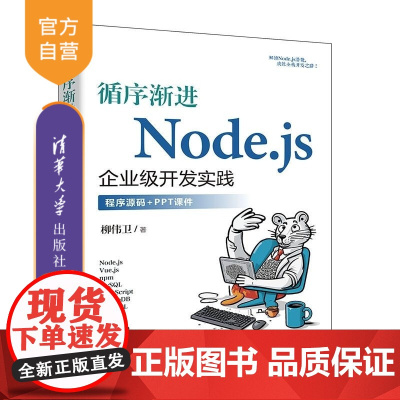 [正版新书]循序渐进Node js企业级开发实践 柳伟卫 清华大学出版社 Node js 前端开发 全栈开发 Ty
