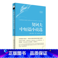 [正版]契诃夫中短篇小说选(名家名译俄汉对照 豪华软精装珍藏版)
