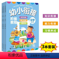 [正版]幼儿识字书 幼小衔接阶梯教程 看图快速认字教辅 幼儿园大班升一年级学前幼儿阅读与识字书启蒙早教书全套3册2-3