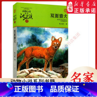 双面猎犬 [正版]书店 双面猎犬 动物小说大王沈石溪·品藏书系 中/小学生阅读少儿读物 儿童文学