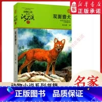 双面猎犬 [正版]书店 双面猎犬 动物小说大王沈石溪·品藏书系 中/小学生阅读少儿读物 儿童文学