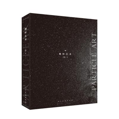 正版新书]颗粒艺术王楠9787102082776