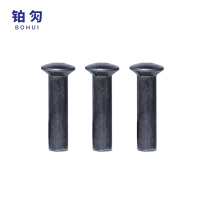 铂灳 半沉头铆钉 6*24mm 个