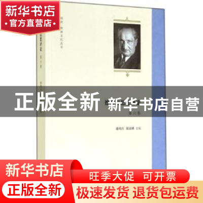 正版 德意志思想评论:第六卷 孙周兴,陈家琪主编 商务印书馆 978