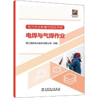 正版新书]电力安全教育可视化手册 电焊与气焊作业浙江浙能电力