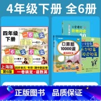 4年级下 语数英+专项训练 小学通用 [正版]2024一卷搞定五年级上沪教版一二年级三四六年级七八九年级上下册第6版语文