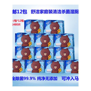 权夫人湿厕纸装40片装*12包480片成人男女儿童私处厕所湿巾