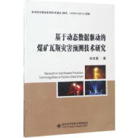 音像基于动态数据驱动的煤矿瓦斯灾害预测技术研究孙克雷编著