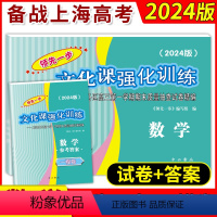 2024高考一模数学+答案 数学 [正版]2018-2024年版领先一步文化课强化训练 数学 上海高考数学一模卷试卷+答