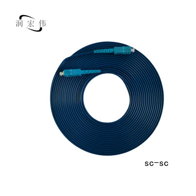 润宏伟 铠装 光纤跳线 尾纤(单模单芯) SC-SC-5m 条