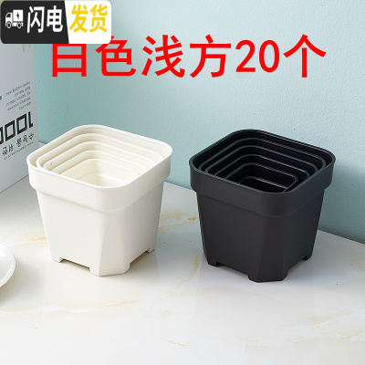 三维工匠经典加强特厚黑白小方大方多肉家庭园艺植物塑料磨砂浅方花盆 白色浅方20个 10.5cm口径花盆容器