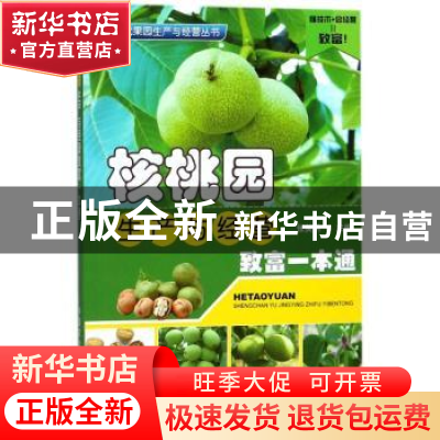 正版 核桃园生产与经营致富一本通 张美勇主编 中国农业出版社 97