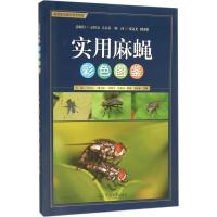 实用麻蝇彩色图鉴