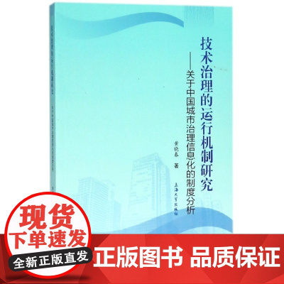 技术治理的运行机制研究--关于中国城市治理信息化的制度分