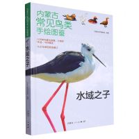 [N]水域之子(精)/内蒙古常见鸟类手绘图鉴-9787204174294