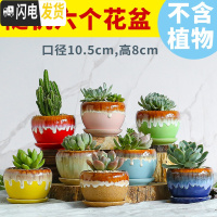 三维工匠多肉花盆陶瓷创意个性粗陶透气家用大口径盆栽小花盆 苹果带托盘随机(6个) 小花盆容器