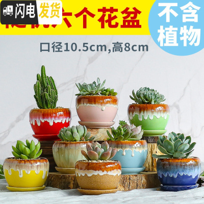 三维工匠多肉花盆陶瓷创意个性粗陶透气家用大口径盆栽小花盆 苹果带托盘随机(6个) 小花盆容器