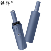 铁洋 16骨自动晴雨伞 23寸 把