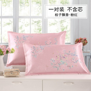 家柏饰(CORATED)夏季夏凉冰丝凉席枕套枕席夏天透气成人单人冰藤枕头套枕芯套一对