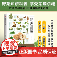 野菜轻图鉴 250余种野菜识别与食用指南 分类 名称 特征识别 生活习性 繁殖方式 科普常见野菜识别知识 享受采摘野菜