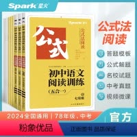 语文 七年级/初中一年级 [正版]2024新初中语文阅读理解答题模板技巧专项训练中考七八九年级初一二三巅峰组合训练满分习