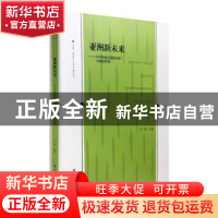 正版 亚洲新未来:中外学者论国际关系与地区秩序 石斌主编 南京大