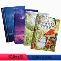 六年级下册4本课外书 [正版]丨尼尔斯骑鹅旅行记 插图完整版 六年级下快乐读书吧课外阅读 江苏凤凰文艺出版爱丽丝梦游仙境