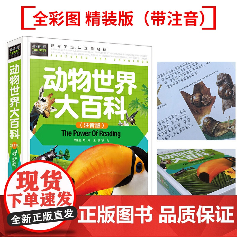 动物世界大百科 彩图注音版 一二三年级5-7岁课外阅读书世界经典儿童文学少儿名著童话故事书 丰富的内容 生动的图解