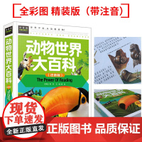 动物世界大百科 彩图注音版 一二三年级5-7岁课外阅读书世界经典儿童文学少儿名著童话故事书 丰富的内容 生动的图解