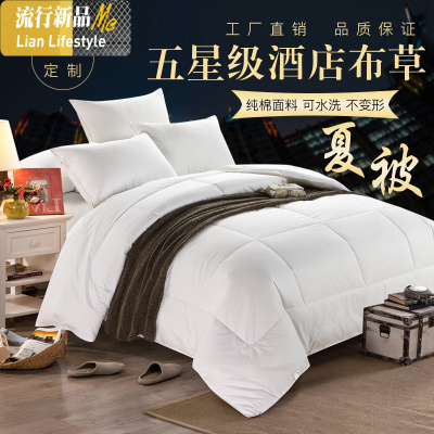 加厚宾馆酒店九孔被春秋冬被子棉被学生被芯夏被空调被夏凉被薄被 三维工匠