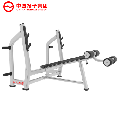 扬子(YANGZI)豪华下斜卧推架YZ-J024