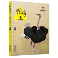 袁博动物小说美绘本鸵鸟王