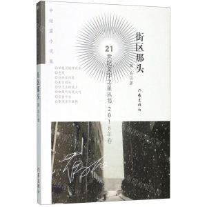 [N]街区那头/21世纪文学之星丛书-9787521205343