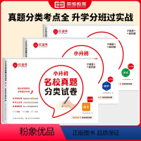 [全3册]小升初名校真题语数英 小学升初中 [正版]小升初真题卷2024名校真题分类试卷必刷题语文数学英语人教版小学毕业