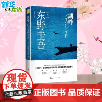 湖畔/东野圭吾 东野圭吾 著 现代/当代文学文学 正版图书籍 化学工业出版社