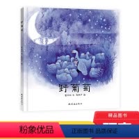 单本全册 [正版]毛毛虫绘本野葡萄精装绘本图画书中国经典图画书带领孩子寻找光明希望启发孩子探索善恶哲思适合3岁4岁5岁6