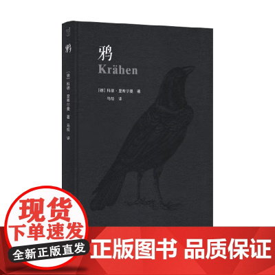 动物肖像 鸦 科德·里希尔曼 著 科普读物