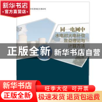 正版 同一电网中水电对火电补偿效益理论与计算方法 张泽中著 中