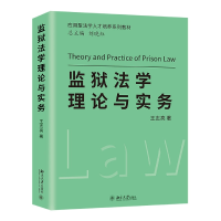 音像监狱学理与实务王志亮