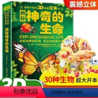 神奇的生命3d立体书 [正版]恐龙立体书3d翻翻书 创意趣味科普恐龙绘本儿童2-6周岁翻翻书百科全书3D版立体恐龙世界恐