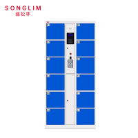 SONGLIM 盛松林 12门电子存包柜 1000*500*1900mm 个