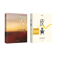 音像人间失格+皮囊共2册蔡崇达