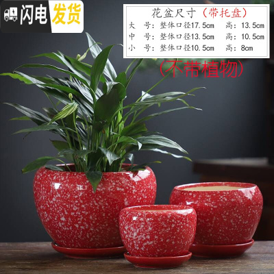 三维工匠花盆陶瓷大号中国风家用带托盘简约创意绿萝个性多肉花盆 苹果雪花红点三件套 大花盆容器