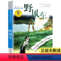 [正版]晨晔网 野风车 曹文轩纯美小说系列 青少年小学生课外阅读书籍8-9-10-12-15岁三四五六年级读物 儿童文