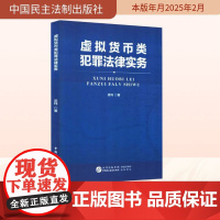 虚拟货币类犯罪法律实务 梁玮 著 法学理论社科 正版图书籍 中国民主法制出版社