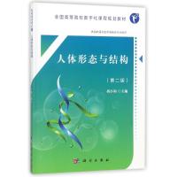 人体形态与结构