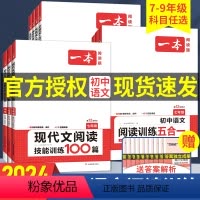 现代文阅读技能训练100篇+文言文+古诗+名句阅读训练100篇 九年级 [正版]2024版一本初中语文阅读训练五合一文言