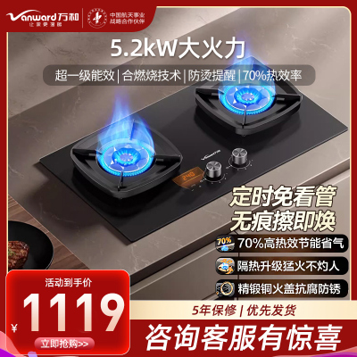万和(Vanward)[超省星G9·定时无印面板]燃气双灶具5.2kW70%热效率烟灶家用定时关火煤气炉G9L56天然气